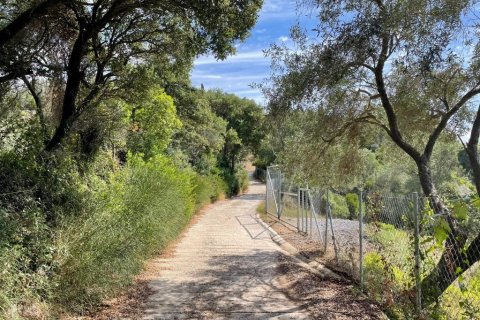 8000m² Land à Corfu, Greece No. 108526 10