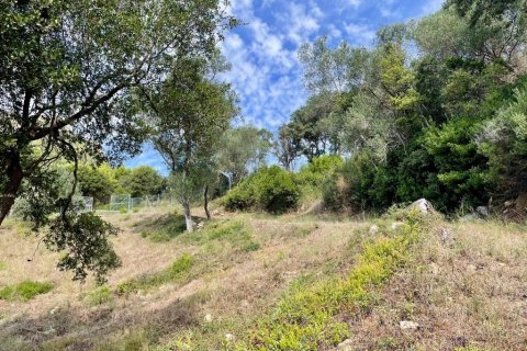 8000m² Land à Corfu, Greece No. 108526 25
