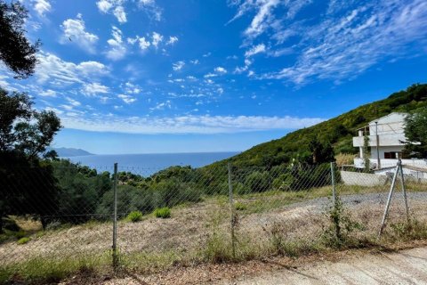 8000m² Land à Corfu, Greece No. 108526 8
