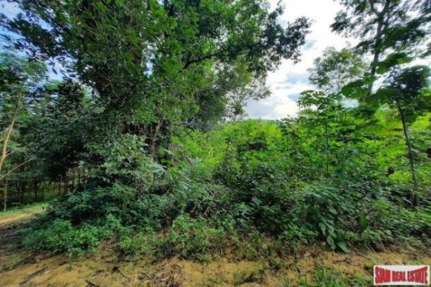 3193.6m² Land à Krabi, Thailand No. 97445 3