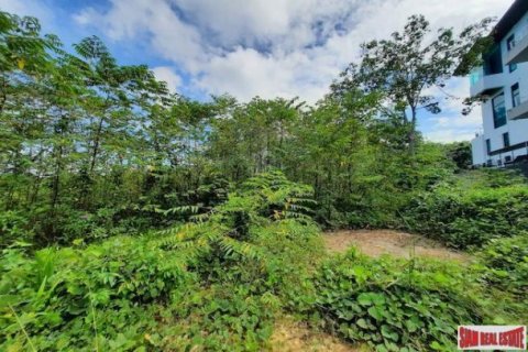 3193.6m² Land à Krabi, Thailand No. 97445 7