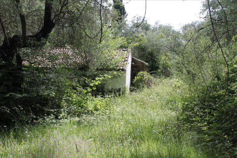 22000m² Land en Corfu, Greece No. 60316 7