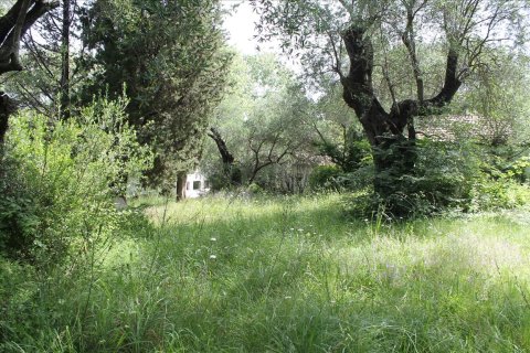 22000m² Land en Corfu, Greece No. 60316 6