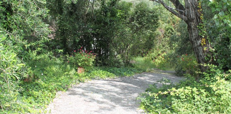 22000m² Land en Corfu, Greece No. 60316