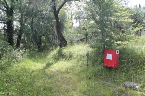 22000m² Land en Corfu, Greece No. 60316 8