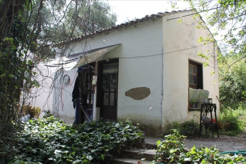 22000m² Land en Corfu, Greece No. 60316 3