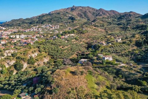 Land in Zakynthos, Greece No. 69603 16