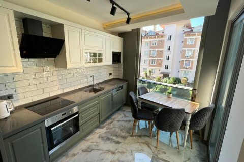 3 rooms Apartment in Chau Lang, Vietnam No. 21551 3