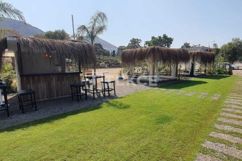 3 bedrooms Villa in Phi Dien, Vietnam No. 11089 28