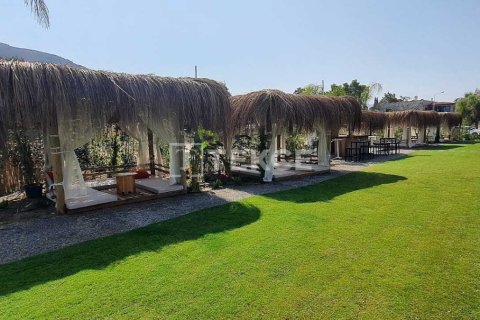 3 bedrooms Villa in Phi Dien, Vietnam No. 11089 22