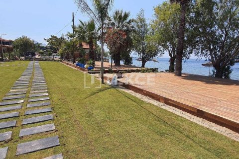 3 bedrooms Villa in Phi Dien, Vietnam No. 11089 25