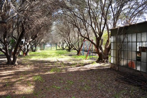 5 bedrooms House in Chalkidiki, Greece No. 59937 5