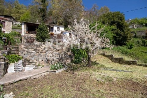 2 bedrooms House in Magnesia, Greece No. 104648 21