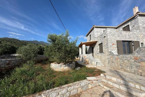 Дом с 3 спальнями в Мессиния, Греция №107786 27