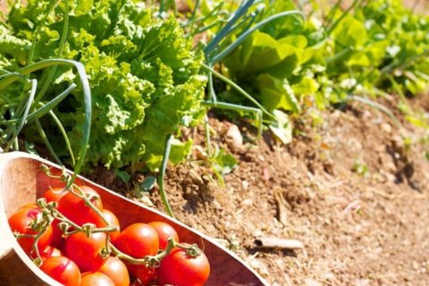 Вилла с 7 спальнями в Ретимнон, Греция №109516 12