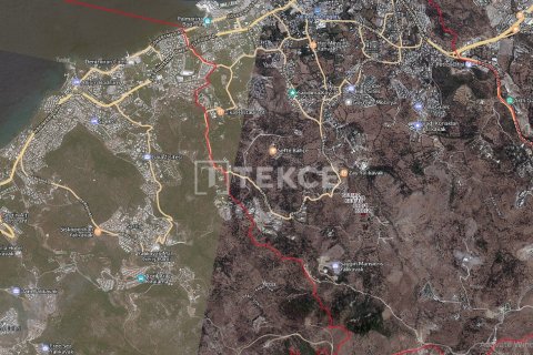 Земельный участок 13826м² в Phi Dien, Вьетнам №89741 2