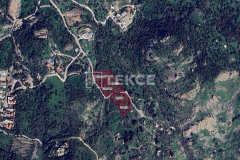 Земельный участок 13826м² в Бодрум, Турция №89741