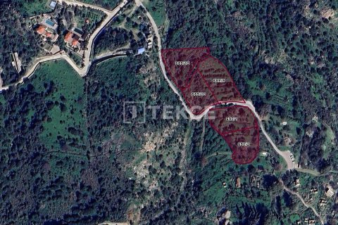 Земельный участок 13826м² в Phi Dien, Вьетнам №89741 4