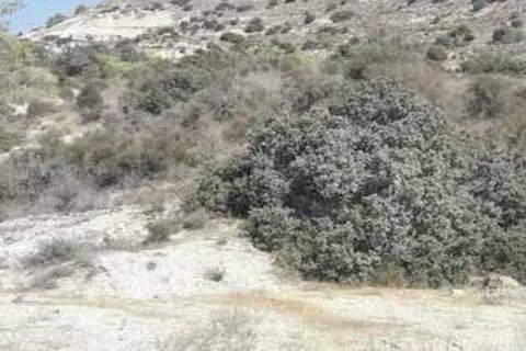 118023m² Land in Monagroulli, Cyprus No. 35675 3