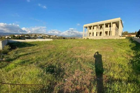 7 bedrooms House in Germasogeia, Cyprus No. 69945 3