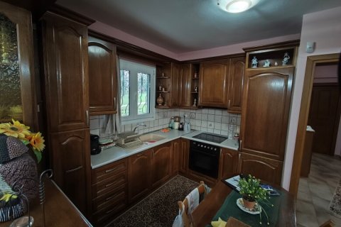 Вилла с 4 спальнями в Полийирос, Греция №117954 8