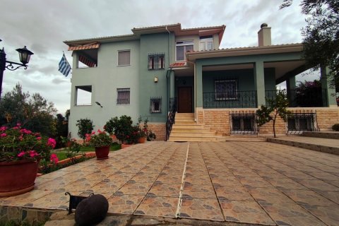 Вилла с 4 спальнями в Полийирос, Греция №117954 1