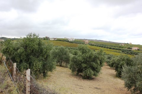 13042m² Land in Heraklion, Greece No. 59395 1