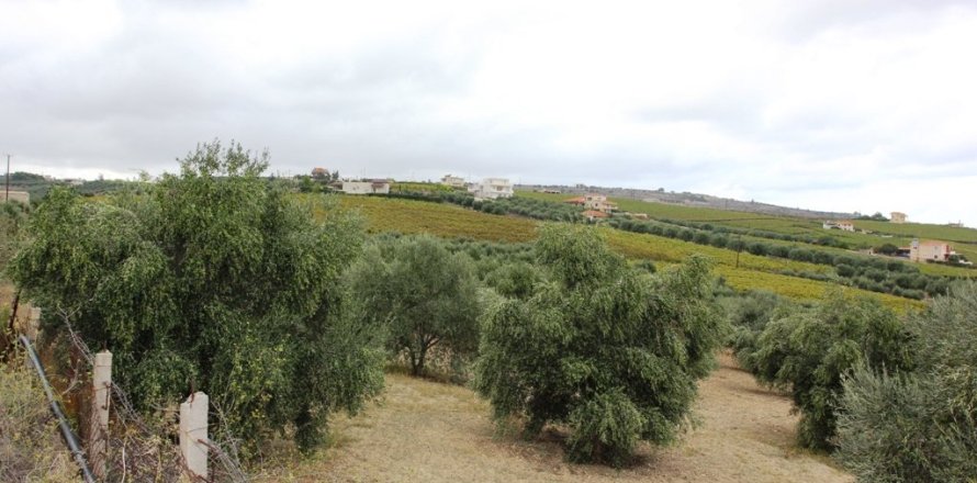 13042m² Land in Heraklion, Greece No. 59395