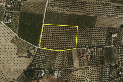 13042m² Land in Heraklion, Greece No. 59395 2