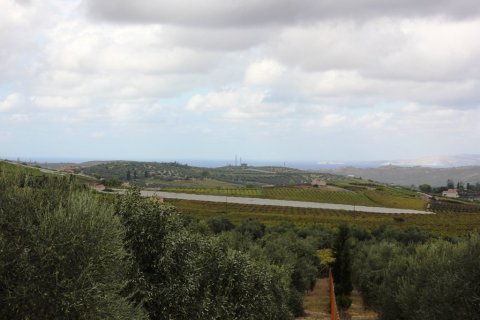 13042m² Land in Heraklion, Greece No. 59395 3
