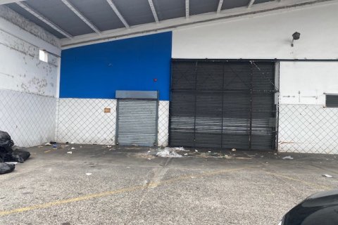 1615m² Warehouse in Panama City, Panama No. 117581 2