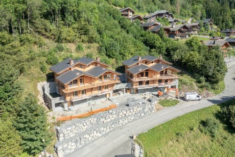 5 bedrooms House in Montriond, France No. 100206 1