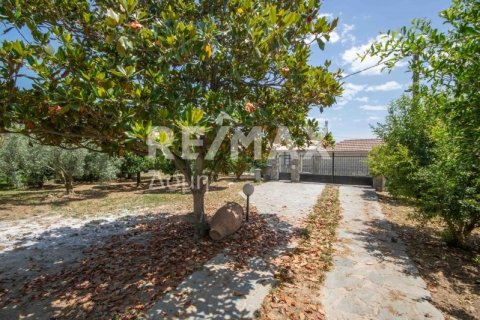 Дом с 6 спальнями в Магнисия, Греция №24293 6