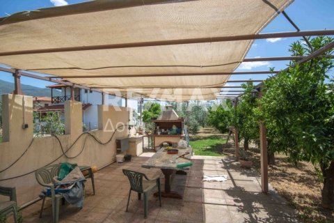 Дом с 6 спальнями в Магнисия, Греция №24293 8