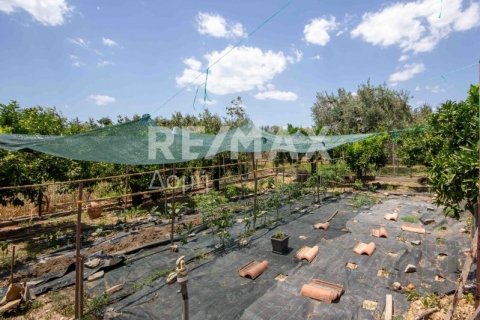 Дом с 6 спальнями в Магнисия, Греция №24293 9