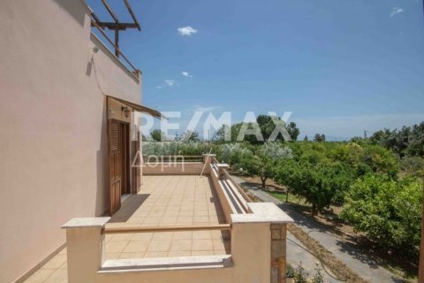 Дом с 6 спальнями в Магнисия, Греция №24293 23