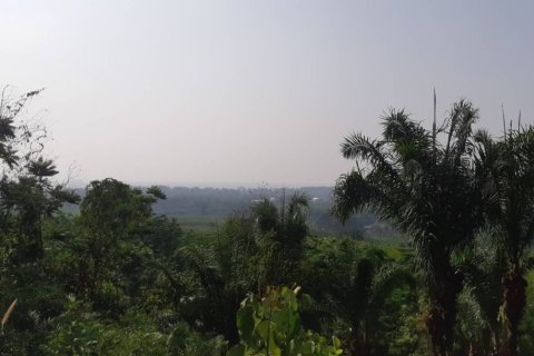 1600m² Land en Mai Khao, Thailand No. 97187 3