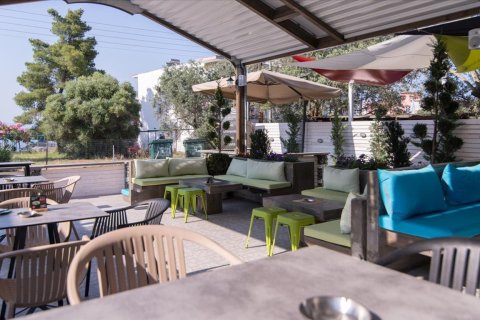 Готовый бизнес 240м² в Халкидики, Греция №57843 30