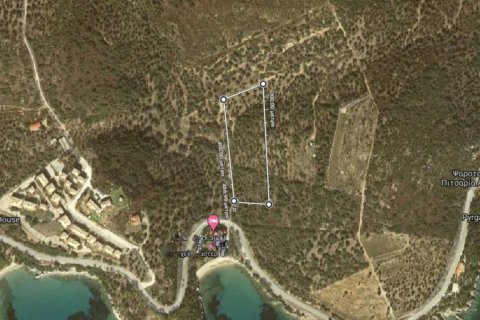 10000m² Land in Chalkidiki, Greece No. 56396 1