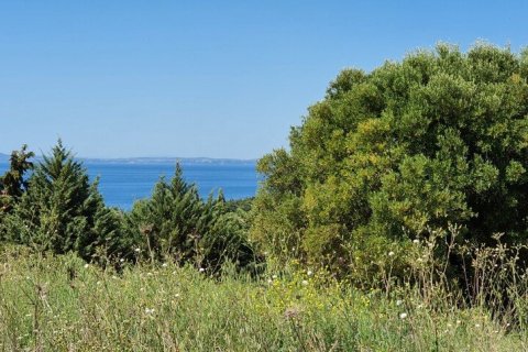 4000m² Land in Chalkidiki, Greece No. 56318 1