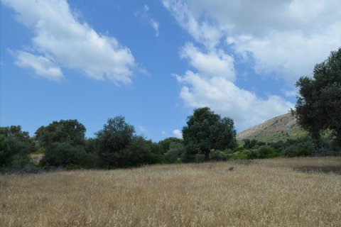 45000m² Land in Euboea, Greece No. 60308 2