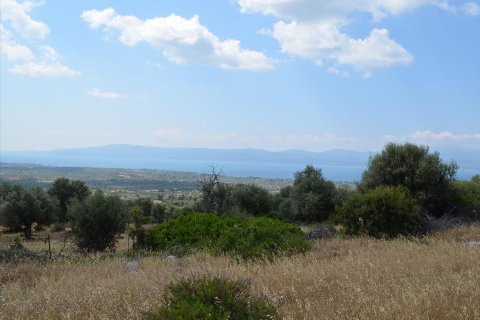 45000m² Land in Euboea, Greece No. 60308 1