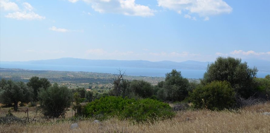 45000m² Land in Euboea, Greece No. 60308