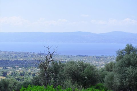 45000m² Land in Euboea, Greece No. 60308 3
