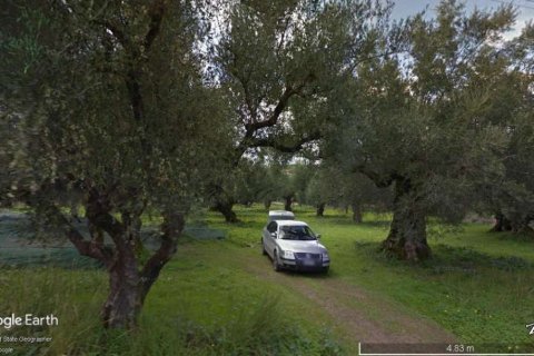 Land in Zakynthos, Greece No. 24587 3