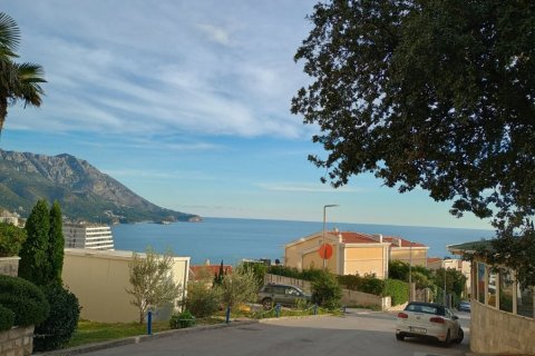 47m² Apartment in Budva, Montenegro No. 104717 5