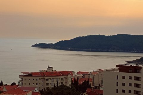 47m² Apartment in Budva, Montenegro No. 104717 13