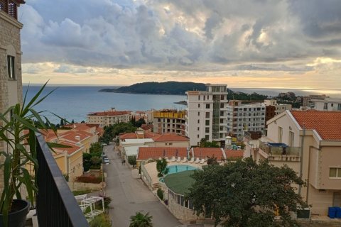 47m² Apartment in Budva, Montenegro No. 104717 3