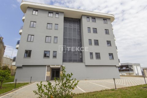 4 bedrooms Penthouse in Chau Lang, Vietnam No. 10973 22