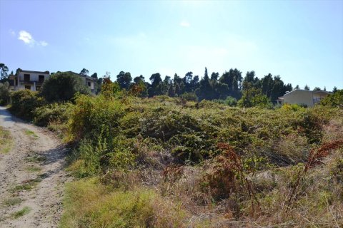 740m² Land in Chalkidiki, Greece No. 109684 2